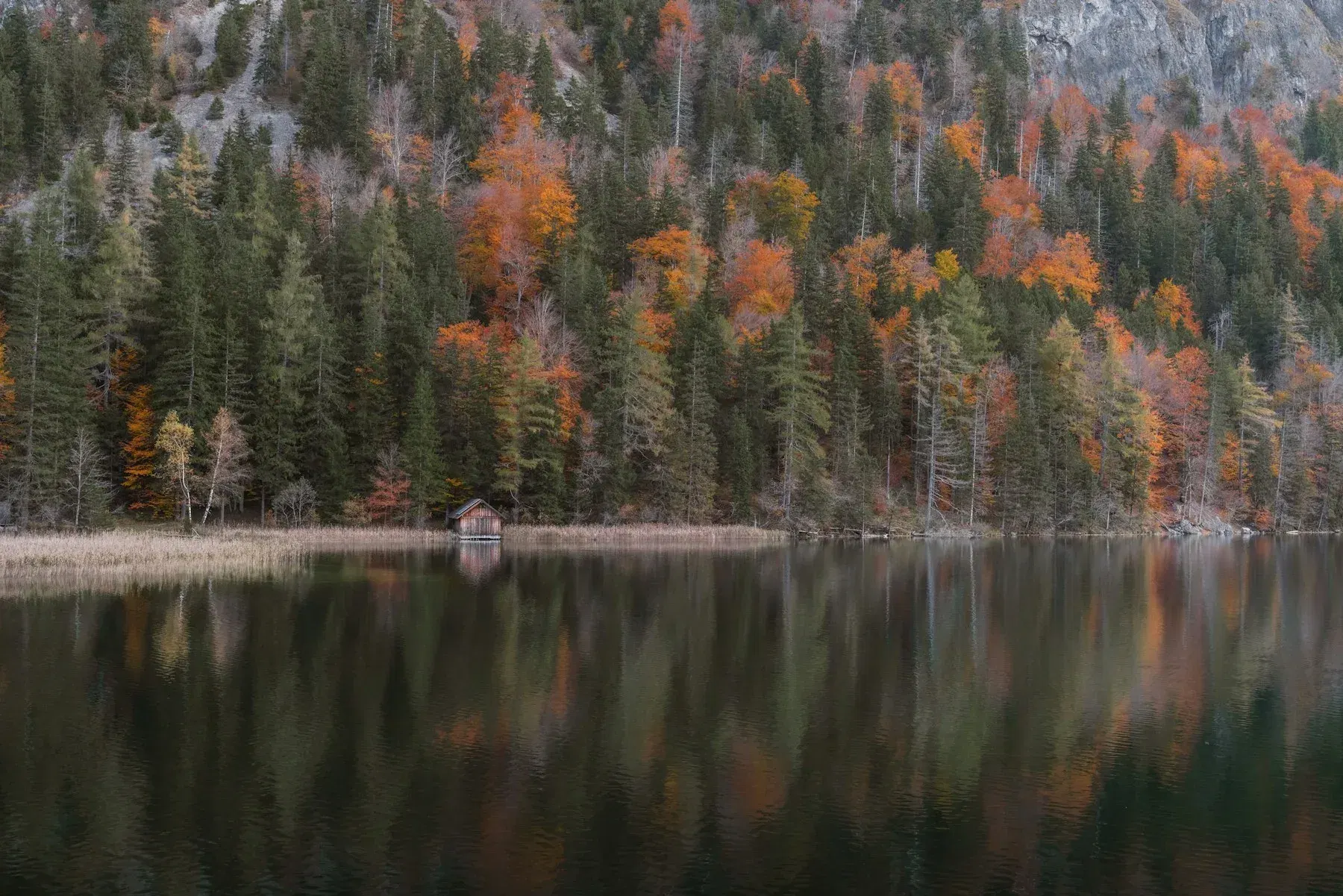 Small lakeside cabin surrounded by autumn forest