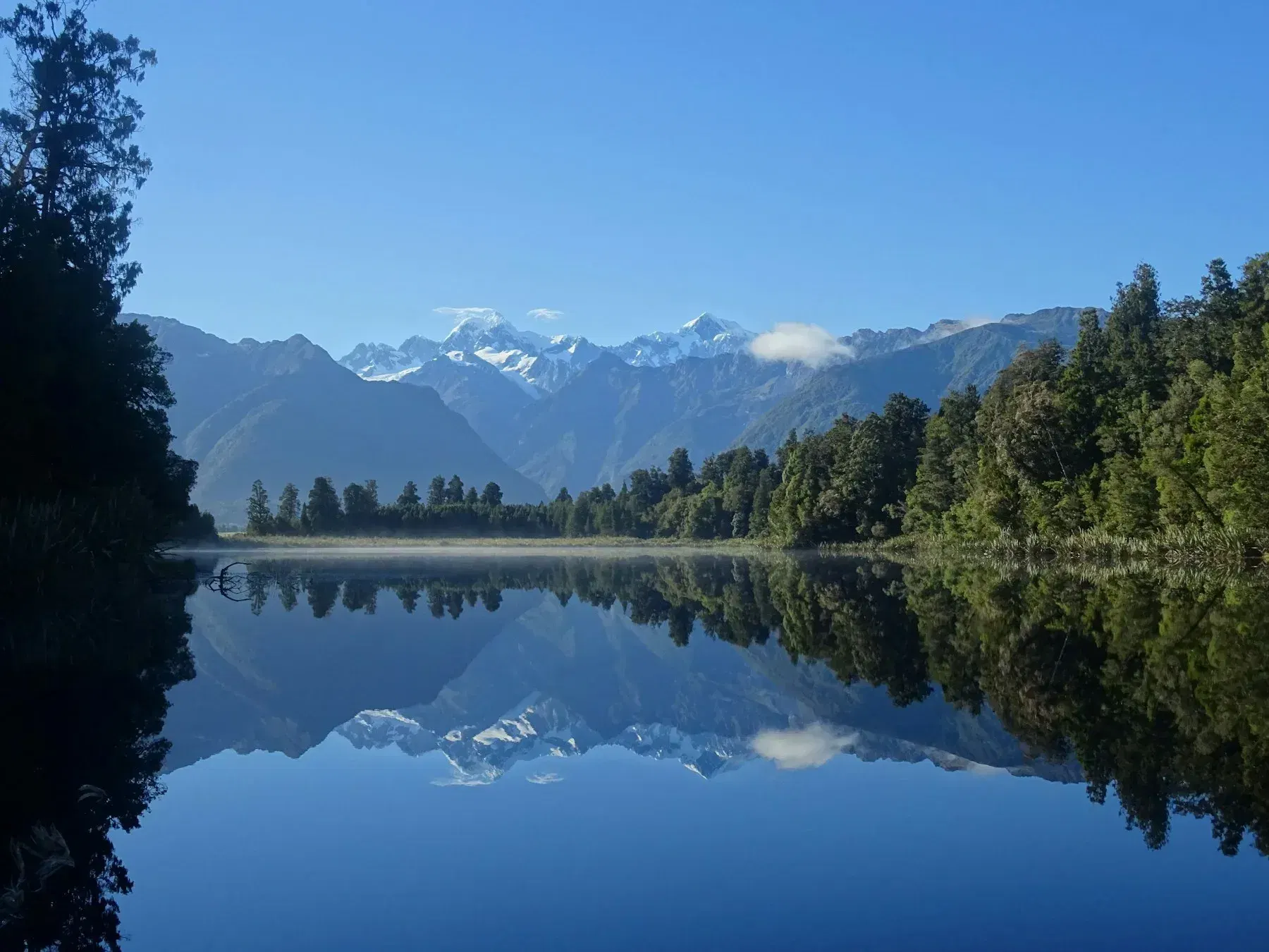 Forest reflected in still Lake Matheson